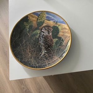 Noble Owls Of America Plate